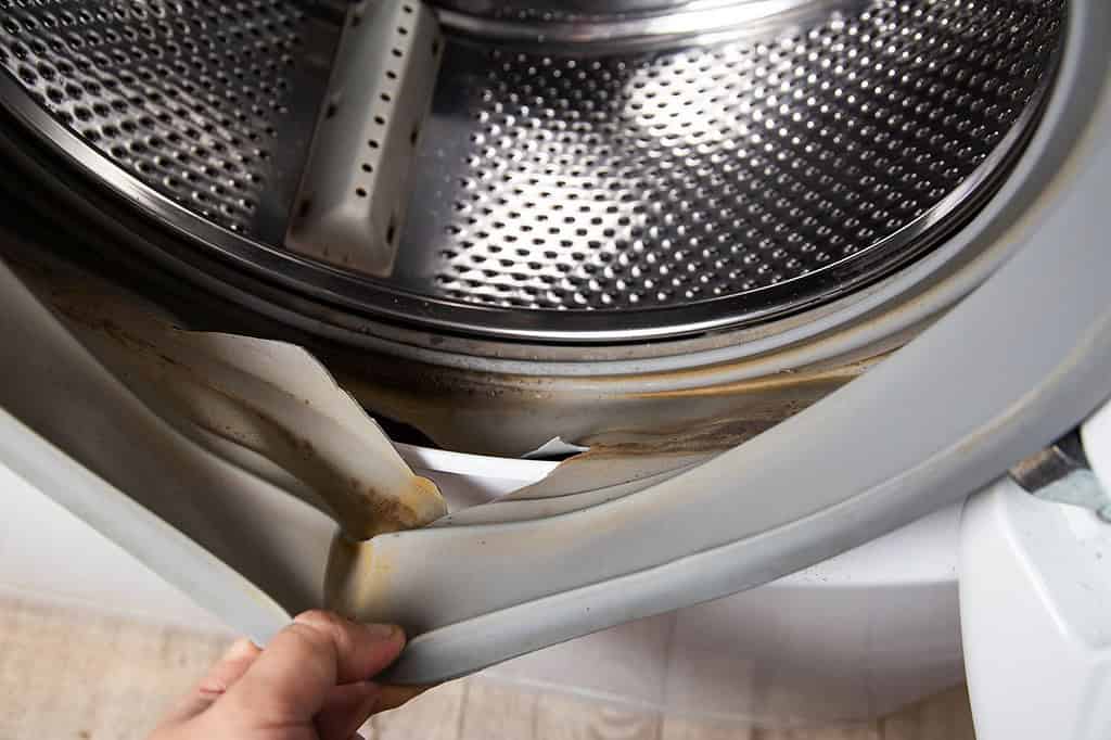 how to clean washing machine rubber seal